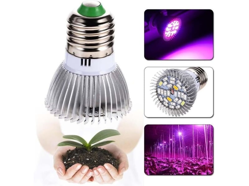  Ampoule de plante e27 28w spectre complet pour plantes intérieur lot de 4  - Conforama D