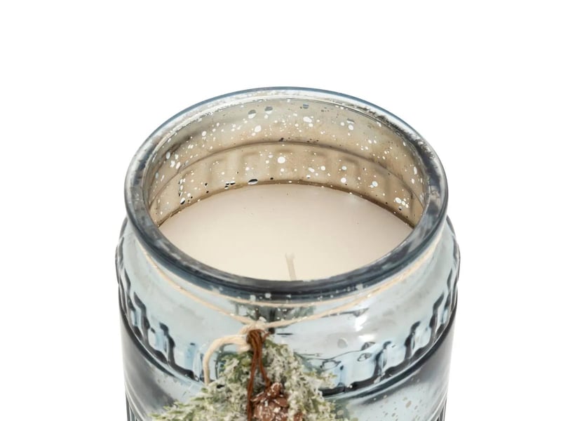  Bougie parfumée en verre branche 460g bleu  - Conforama B
