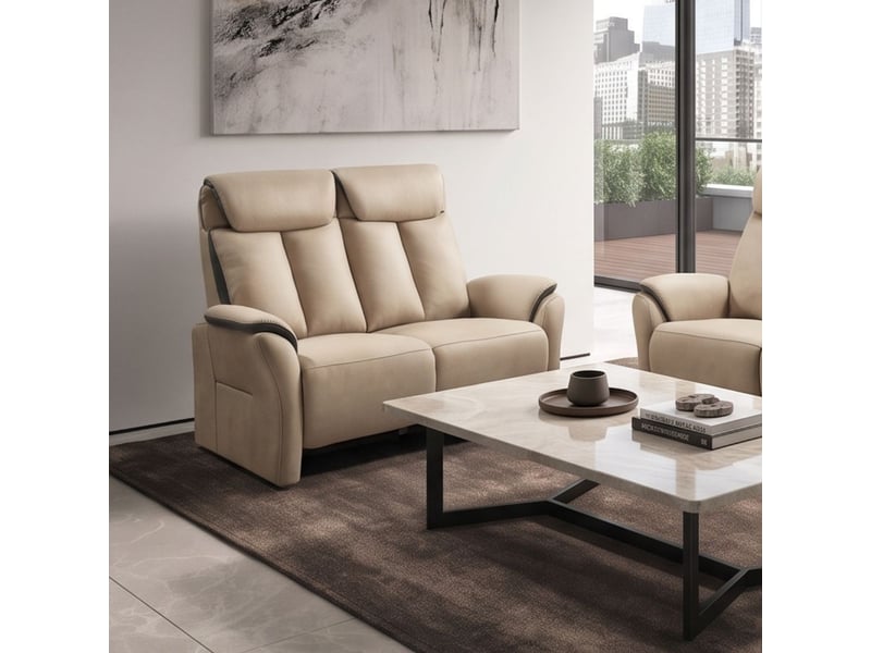  Canapé 2 places fixe new nobuck beige et gris foncé - odeon ODEON - Conforama B