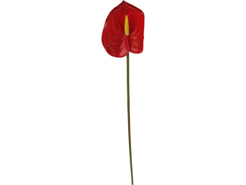  Simulation 3d d'un aménagement de salon avec des fleurs d'anthurium et un bouquet de fleurs flamant rose  - Conforama C