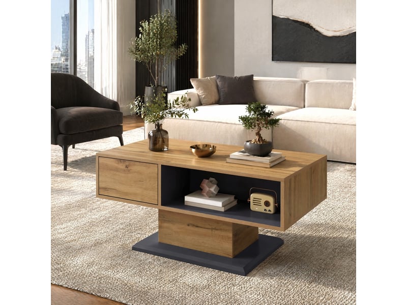  Table basse avec double espace de rangement et niche intérieure, design moderne, pour salon, 100 × 50 × 46,5 cm  - Conforama B