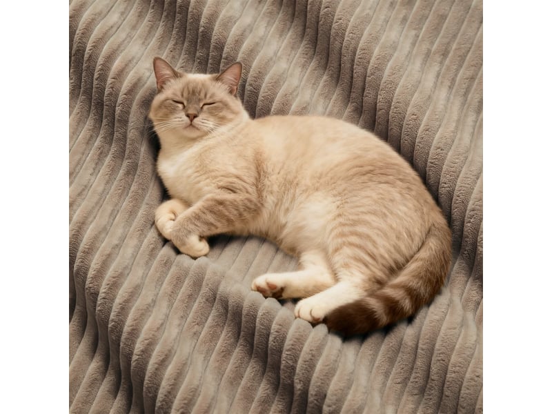  Canapé modulable 2 places avec pouf, finition capitonnée en velours côtelé, convertible, 69 × 204 × 177 cm, marron  - Conforama E