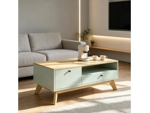 Table basse rectangulaire coloris bicolore MEUBLIV - 50 cmx100 cm