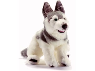Peluche husky couche 42 centimetre