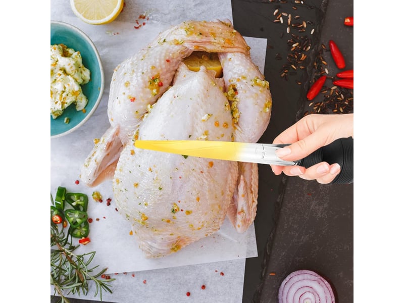  Seringue à badigeonner pour dinde, injecteur de jus avec brosse de nettoyage, résistante à la chaleur, pour jus, beurre et marinades QWE001040 - Conforama E