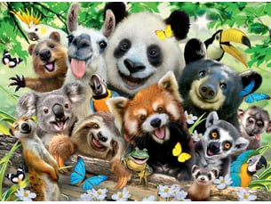 Puzzle 300 p xxl - le selfie des animaux sauvages