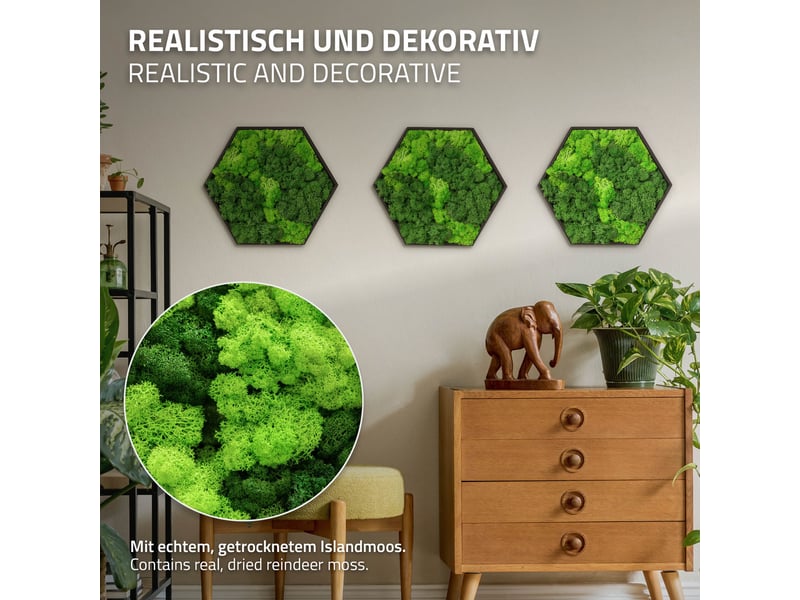 Ecd germany tableau en mousse de renne stabilisée véritable, forme hexagonale 38x34 cm, vert, décoration murale végétale d'intérieur, cadre en bois, sans arrosage ni entretien, effet 3d, pièce unique ECD Germany GmbH - Conforama C