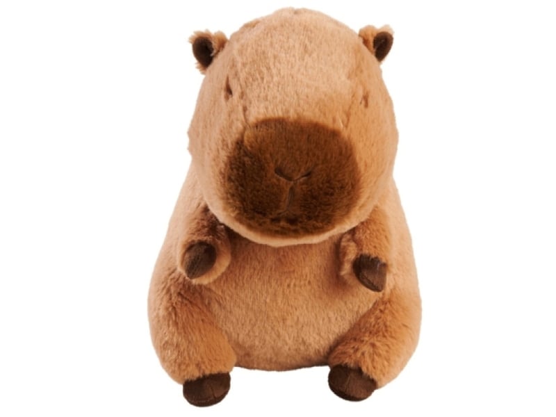  Peluche capybara - 25 cm  - Conforama A