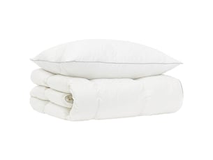 Ensemble de couette 90 % en duvet d’oie fulda 2 pcs - duvet 137 x 200 cm