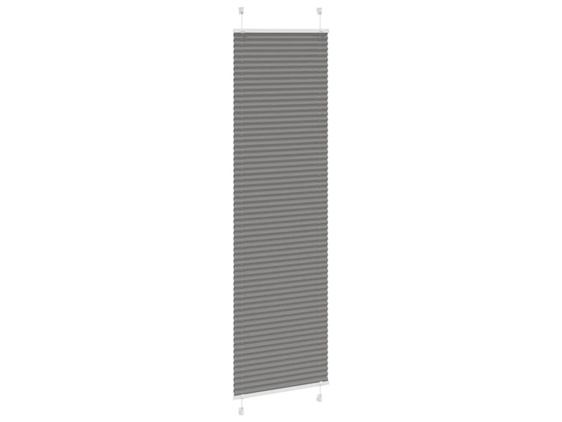  Store plissé, store de fenêtre anthracite 55x200 cm largeur du tissu 54,4 cm cf46702  - Conforama C