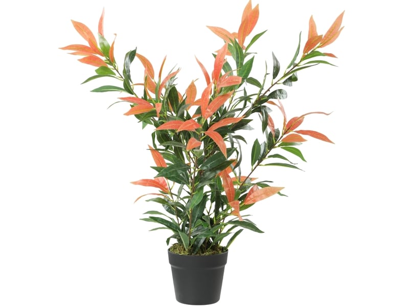  Plante artificielle glanzmispel 90 cm rouge et verte, 300 feuilles et branches ajustables pour votre intérieur  - Conforama A