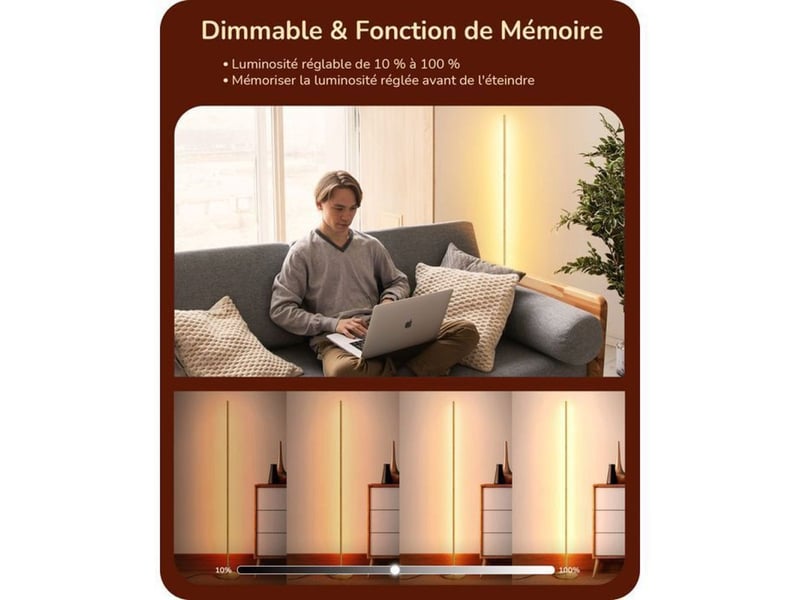  Lampe sur pied led 2 pack doré 146 cm 3000k dimmable avec mémoire 370618_AAAYE92633_6_DROPFR - Conforama B