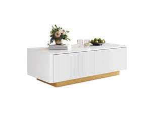 Table basse rectangulaire coloris blanc MODENUIT - 50 cmx110 cm