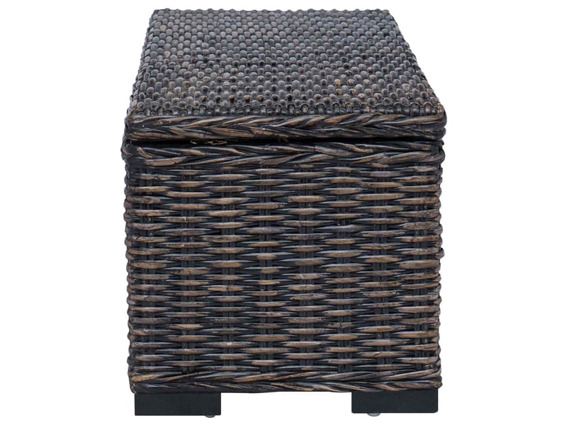  Boîte de rangement, coffre de rangement noir 110x35x45 cm  - Conforama D
