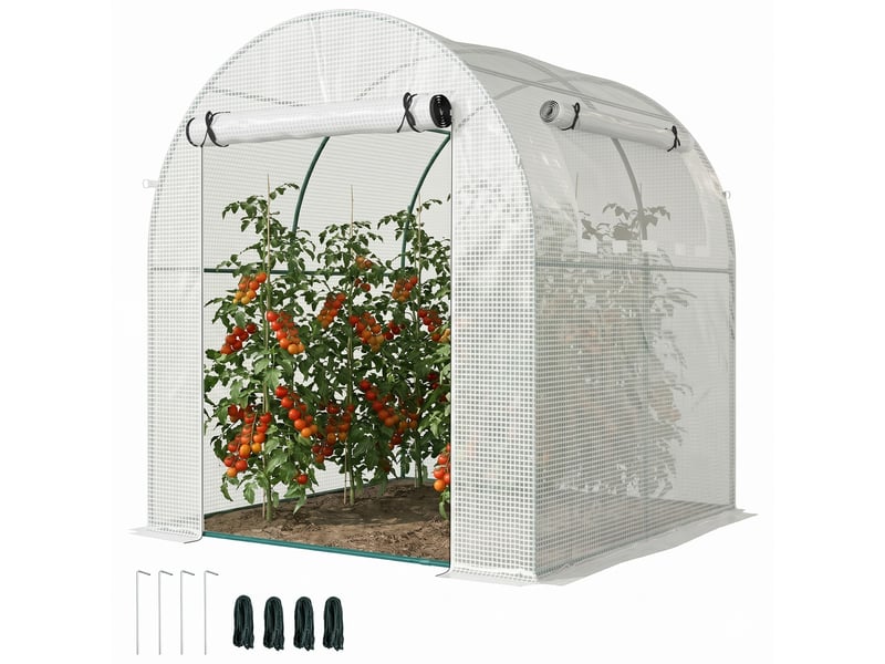  Serre de jardin 180 x 180 x 200 cm, petite serre tunnel avec porte enroulable et fenêtre moustiquaire blanche  - Conforama A