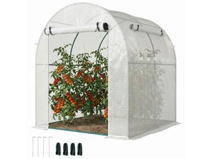 Serre de jardin 180 x 180 x 200 cm, petite serre tunnel avec porte enroulable et fenêtre moustiquaire blanche