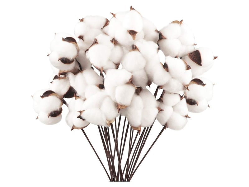  Lot de 20 fleurs de coton naturel séchées, tiges artificielles, branches décoratives pour balcon, maison, table, composition florale  - Conforama A