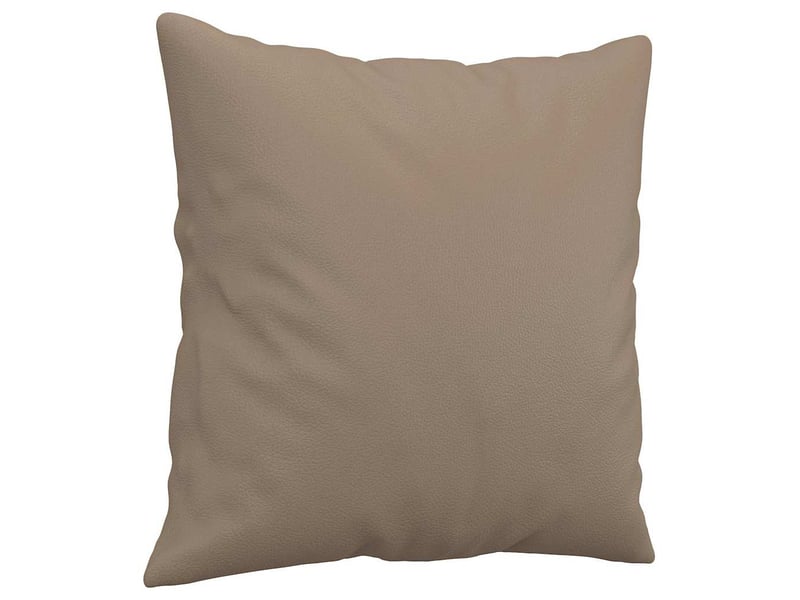  Lot de 2 coussins décoratifs cappuccino 40x40 cm similicuir cf60859  - Conforama C