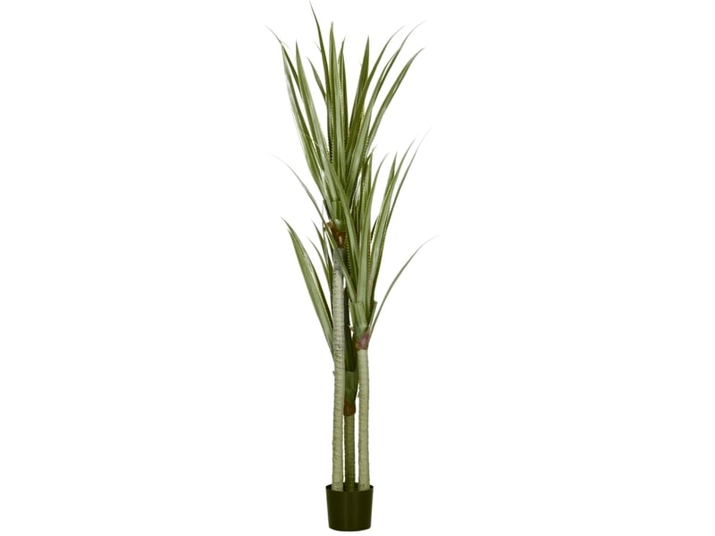 Plante artificielle yucca 190 cm verte en plastique avec pot en ciment, pour intérieur et extérieur sans entretien - Conforama A