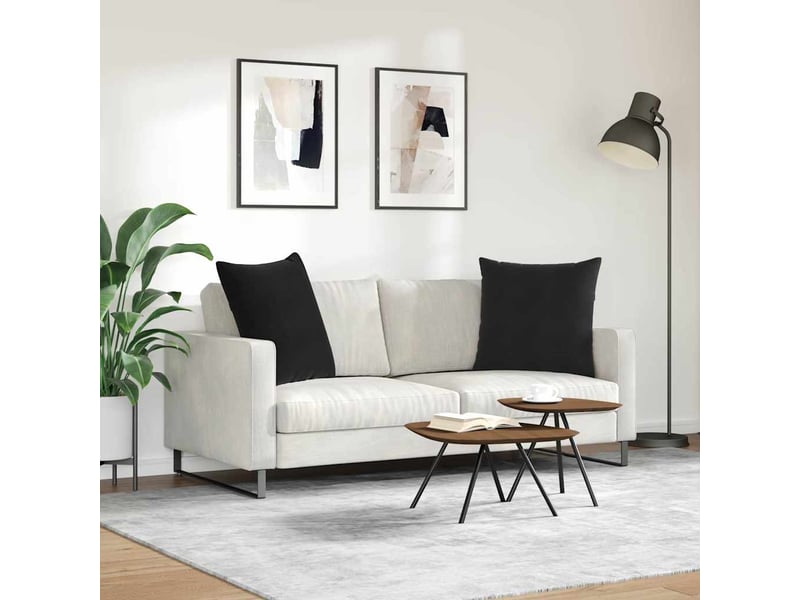  Lot de 2 coussins de canapé, coussins décoratifs noir 80 x 80 cm cf59143  - Conforama D