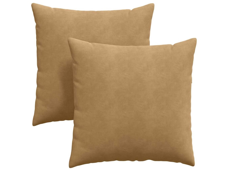  Lot de 2 coussins de canapé, coussins décoratifs marron 80 x 80 cm cf59132  - Conforama A