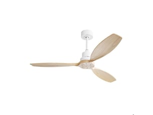Brasseur d'air   -  