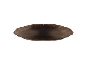 Ass plate pres luna d33