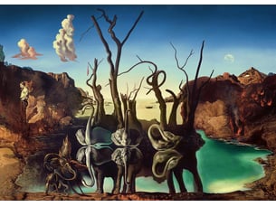 Puzzle 1000 pièces - cygnes se reflétant en éléphantssalvador dali