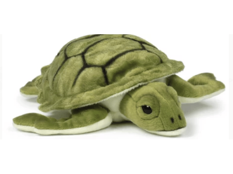  Wwf - moyenne tortue de 23 cm 15214019 - Conforama A