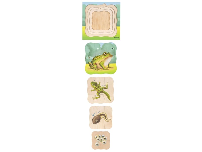  Educo dans la forêt - la grenouille pousse  31 pièces de puzzle 8719924063344 - Conforama B