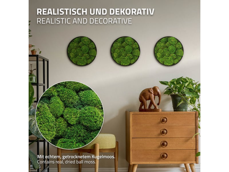  Ecd germany tableau en mousse boule stabilisée véritable, forme ronde ø 30 cm, vert, décoration murale végétale d'intérieur, cadre en mdf, sans arrosage ni entretien, effet 3d, pièce unique ECD Germany GmbH - Conforama C