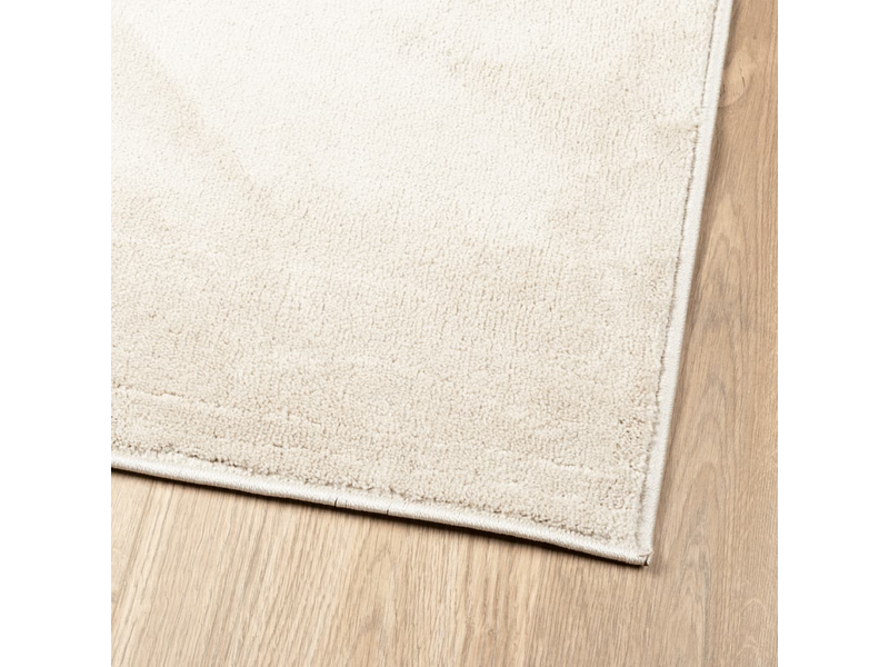  Tapis à poils courts beige 120x120 cm - comfortxl 375489 - Conforama D