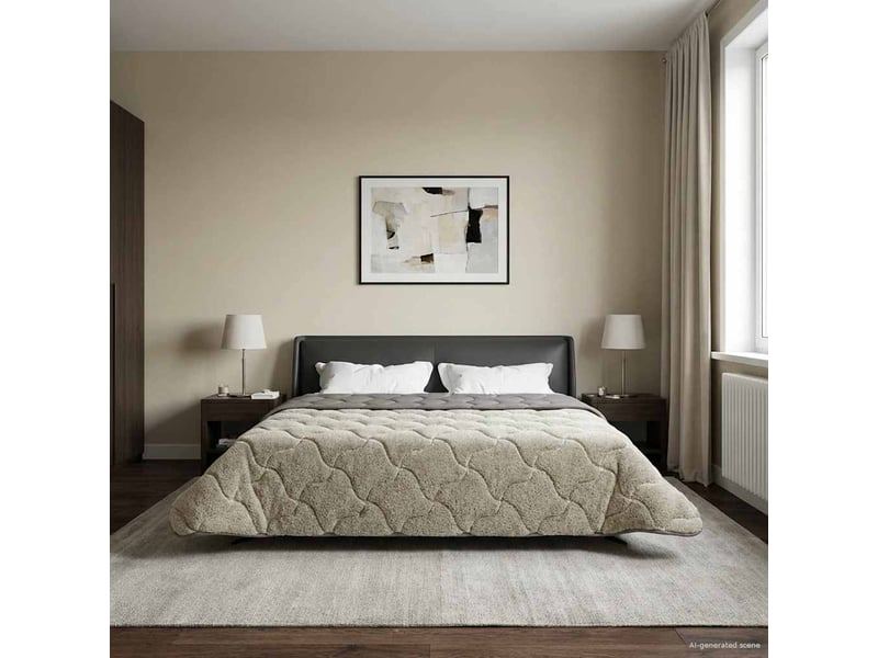  Duvet d'hiver - couette 220 x 260 cm hiver - couette gris clair respirant  - Conforama B