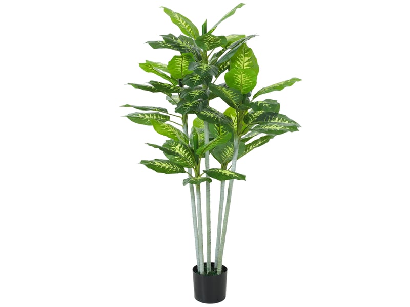  Plante artificielle calathea hauteur 150 cm pot ciment 53 feuilles - intérieur  - Conforama A