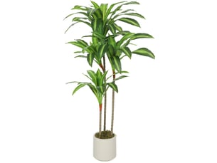 Dracaena artificielle 60x40x120 cm troncs flexibles pot blanc vert