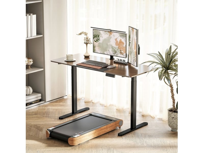 Bureau assis debout électrique réglable en hauteur 2 moteurs avec mémoire evryae - Conforama B