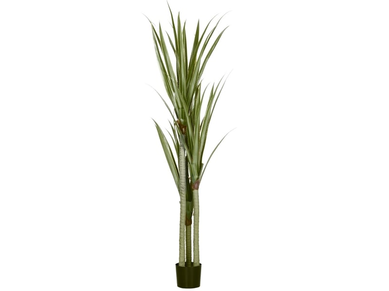  Plante artificielle yucca 17x17x190 cm 39 feuilles vert émeraude  - Conforama A