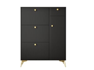 Meuble à chaussures 12 paire(s)  <strong>DZMDIP</strong>  <strong></strong> coloris noir