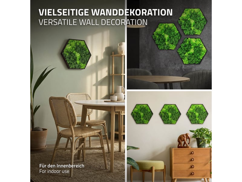 Ecd germany tableau en mousse de renne stabilisée véritable, forme hexagonale 38x34 cm, vert, décoration murale végétale d'intérieur, cadre en bois, sans arrosage ni entretien, effet 3d, pièce unique ECD Germany GmbH - Conforama E