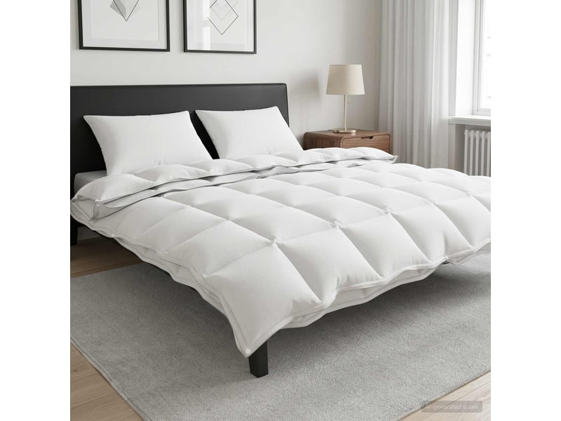  Ensemble de duvet 3 pcs - couette 200 x 240 cm toutes saisons bambou blanc  - Conforama B