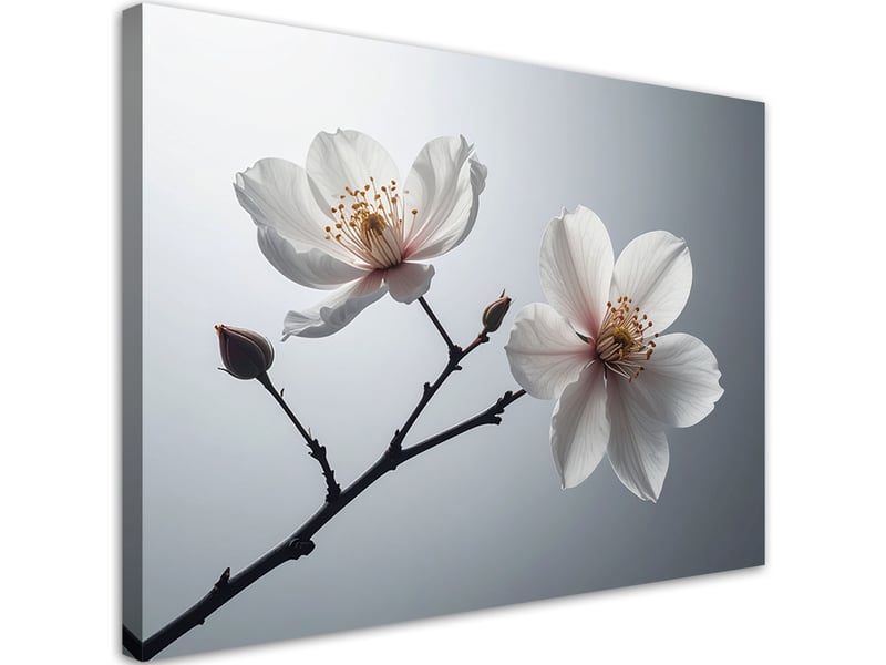 Tableau moderne, magnolias blancs sur une branche dans une composition élégante 90x60 1312609339 - Conforama A