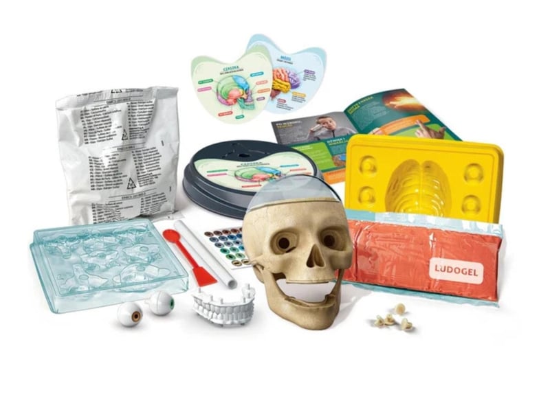  Coffret scientifique clementoni 50697 science  and  jeu - anatomie déjantée 8005125506972 - Conforama D
