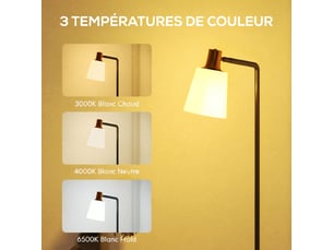 Lampadaire sur pied salon à tête rotative à 350°, noir, lampe sur pied moderne avec 3 températures de couleur