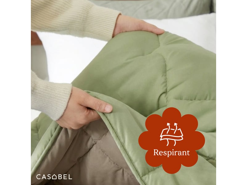  Casabel couette très chaude hiver, 700 gm², 240x260cm, piquage diamant, ultra confortable, 2 personnes, sauge &amp; kaki  - Conforama C