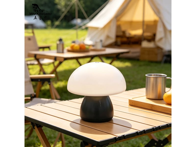  Veilleuse champignon à tapoter, lumière blanc chaud – lampe d'ambiance pour chambre, chevet et table-noir  - Conforama C