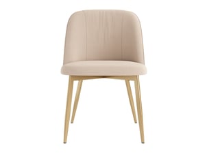 Lot de 2 chaises salle à manger 53x50x80cm, pour salon, cuisine, dossier ergonomique, confort contemporain, beige+doré, métal