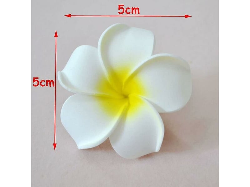  Lot de 100 pétales de frangipanier artificiels hawaïens en mousse blanche pour chapeau et cheveux-aquaforge  - Conforama B