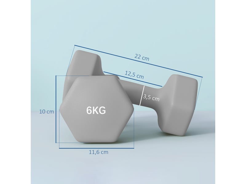  Ensemble de 2 haltères de 6 kg, forme hexagonale, respectueuses du sol, antidérapantes, grises  - Conforama E