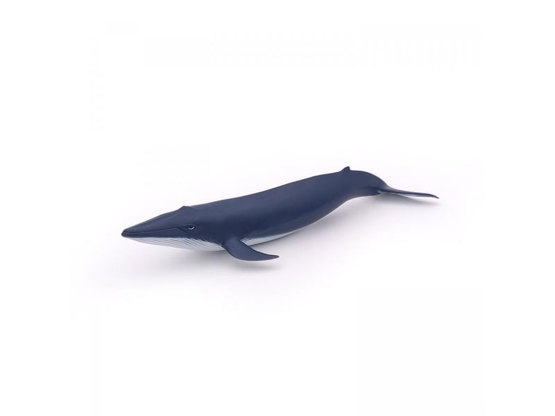  56041 figurine bebe baleine bleue 56041 - Conforama A