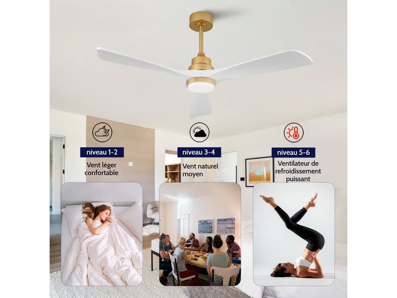 Ventilateur de plafond 132 cm, pales en bois massif blanc et or, avec lumière dimmable et télécommande pour salon et maison de campagne - Conforama D